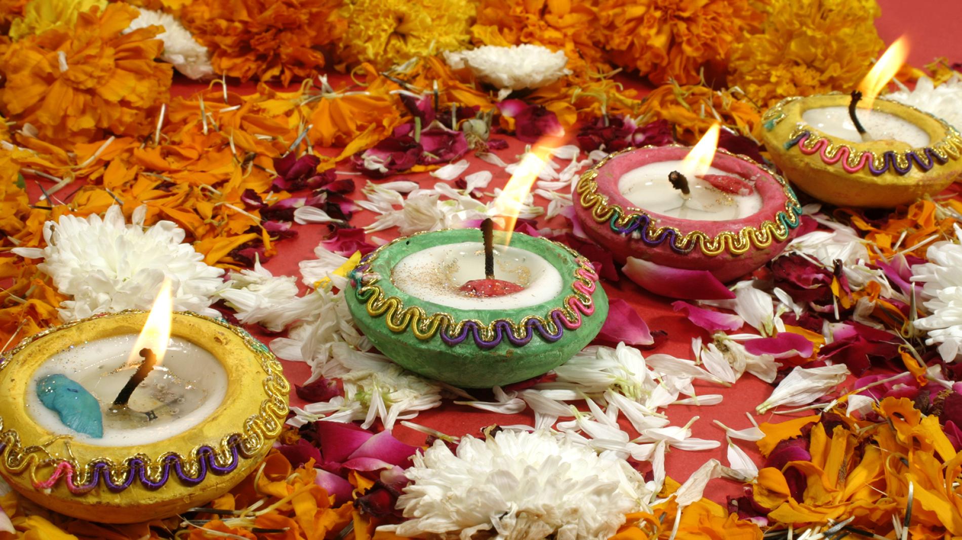 Forest Hills Asian Association Diwali Festival